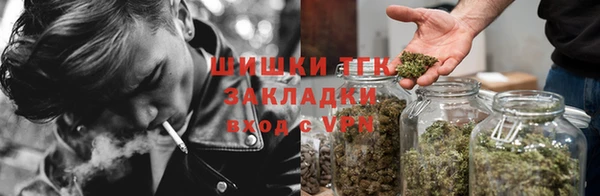 прущие грибы Переславль-Залесский