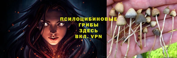 стаф Абдулино