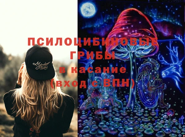 твердый Абинск